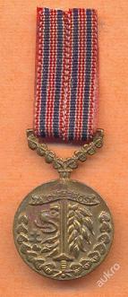 mini Za chrabrost..JPG