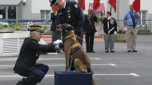 dix-gendarmes-et-un-chien-decores0.jpg