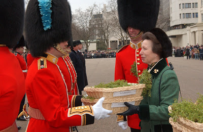 1coycmdrspd06.jpg