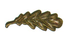 ww2-oak-leaf-mid.jpg
