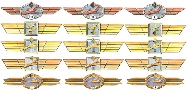 600px-Klassifizierungsspangen_Flugzeugführer.jpg