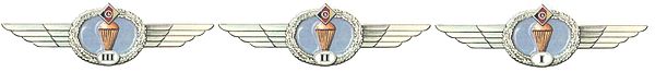 600px-Klassifizierungsspange_für_Angehörige_des_Fallschirmdienstes (1).JPG