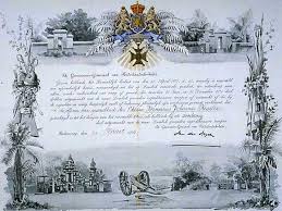 stažený soubor.jpg