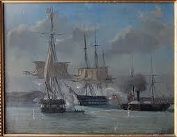 stažený soubor (1).jpg