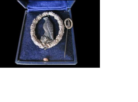 Pamětní odznak v etuji..JPG