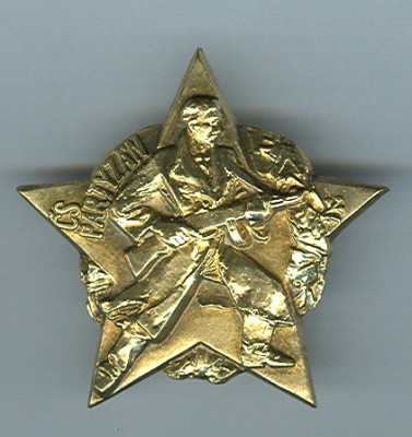 Odznak_Cs._partizan__Br._pozlat.__obr._1[1].jpg