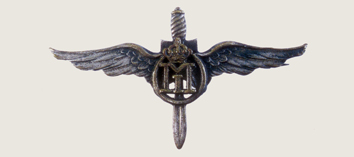 Romania_Military_Pilot_badge_05.jpg
