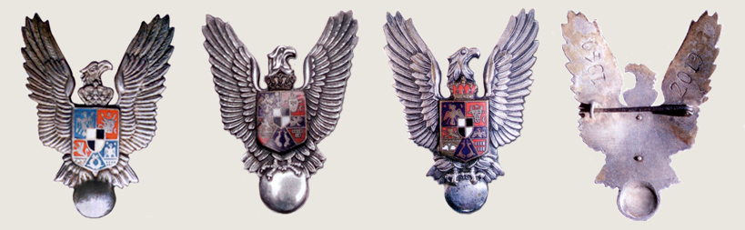 Romania_Military_Pilot_badge_07.jpg