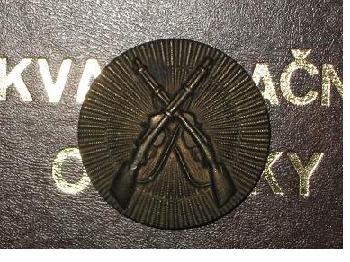 Alt,přední strana.JPG