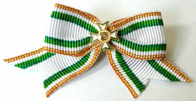 ženy miniaturka.jpg