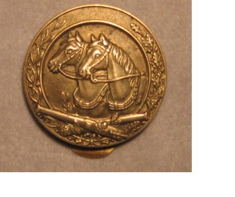 originální odznak.JPG