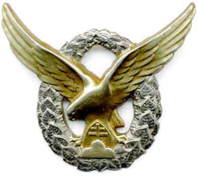 Odznak poľného pilota.jpg