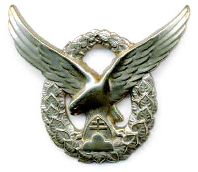 Odznak poľného pozorovateľa.jpg