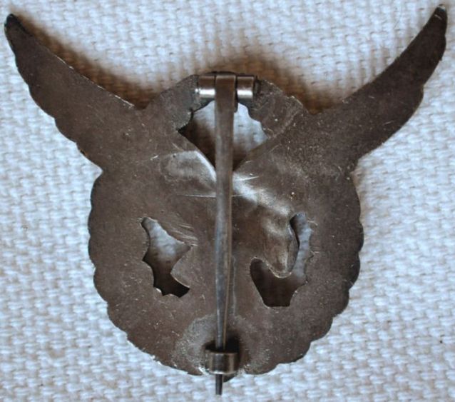 R-nočný pilot (2).jpg