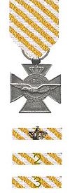 100px-Vliegerkruis_en_baton (2).jpg